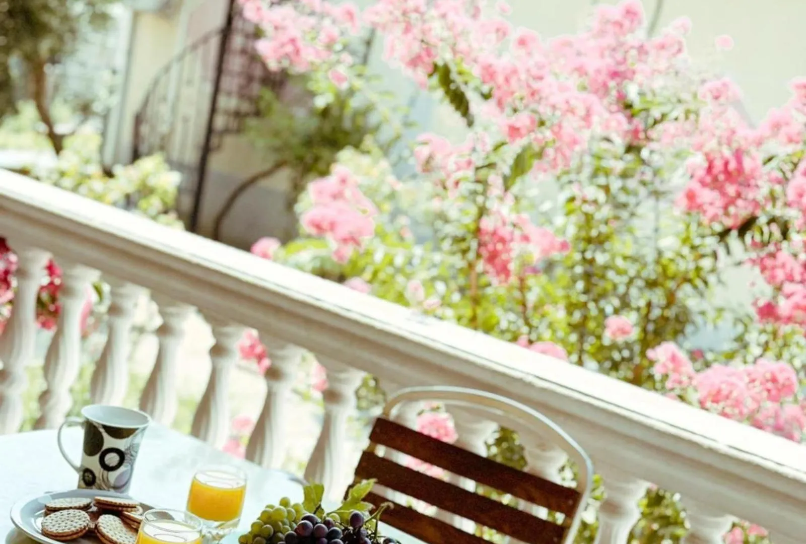 Vizion Hotel Shkoder 3*,  Albania