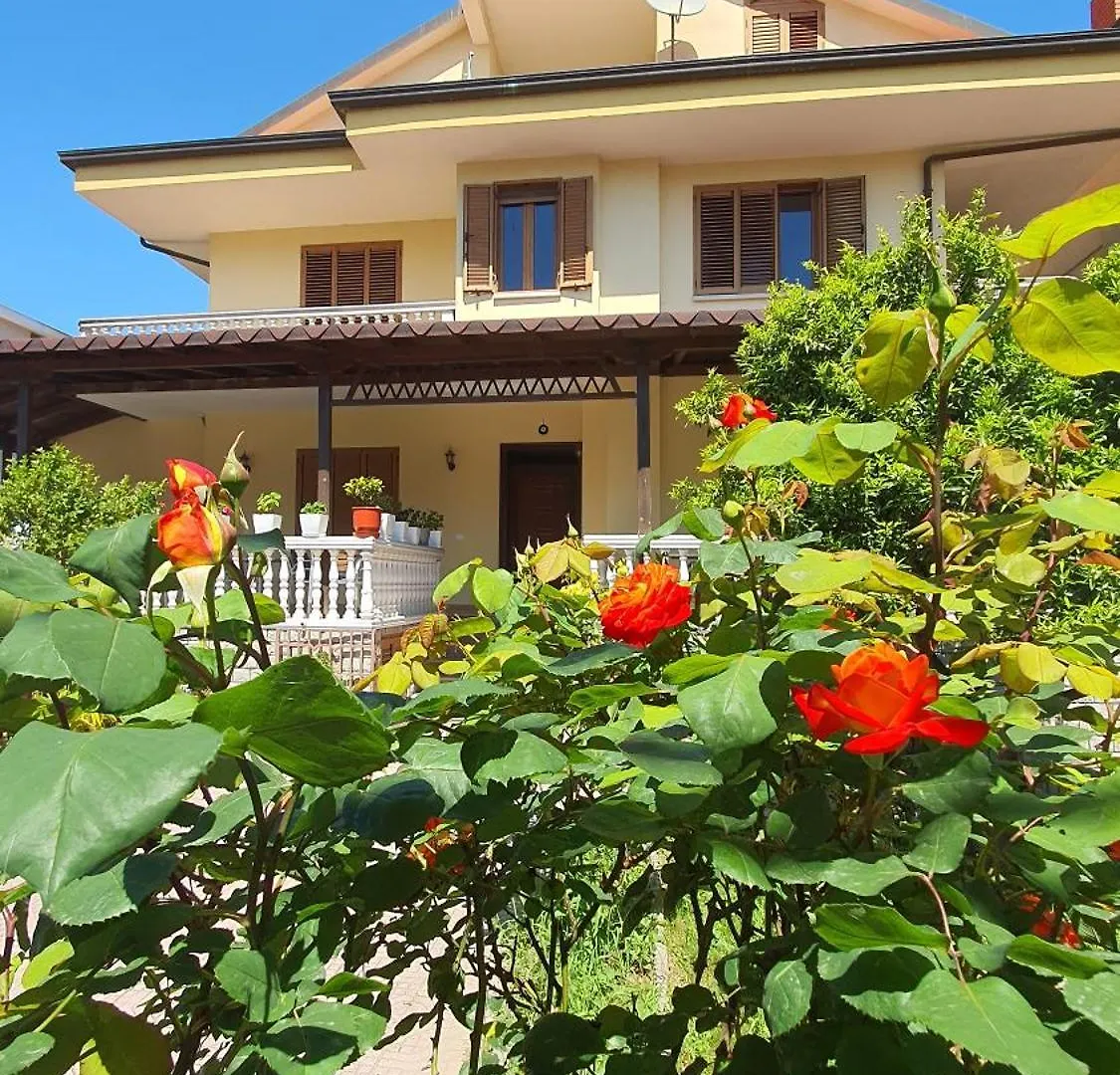 Vizion Hotel Shkoder
